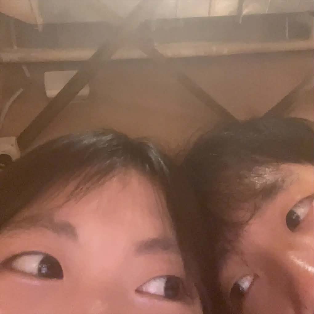 Bức ảnh nhìn nhau đồ